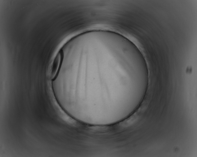 X0000101141392200807181245