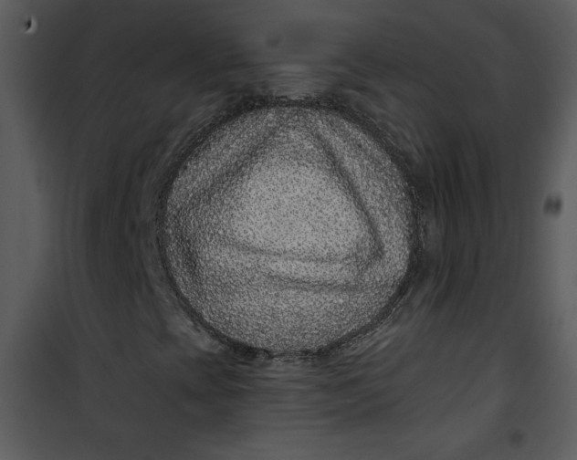 X0000101141393200807181244