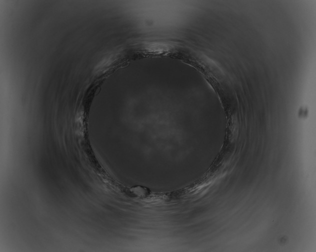 X0000101141394200807181244