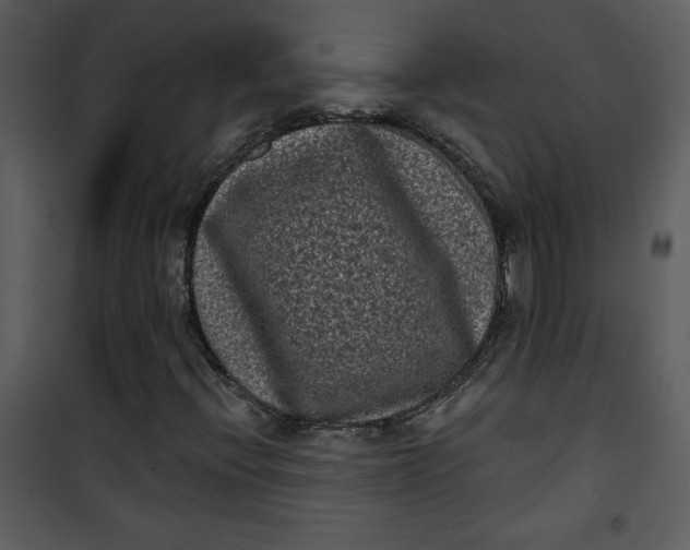 X0000101141396200807181244