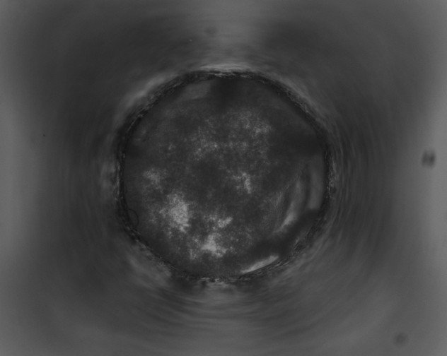 X0000101141398200807181244