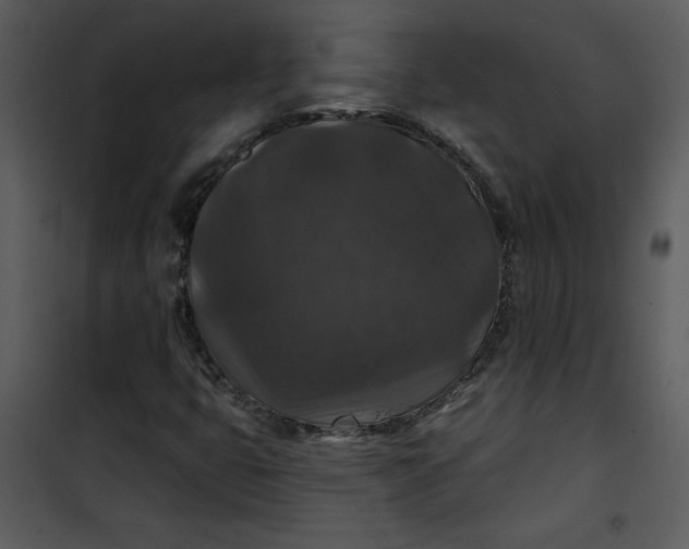 X0000101141399200807181244