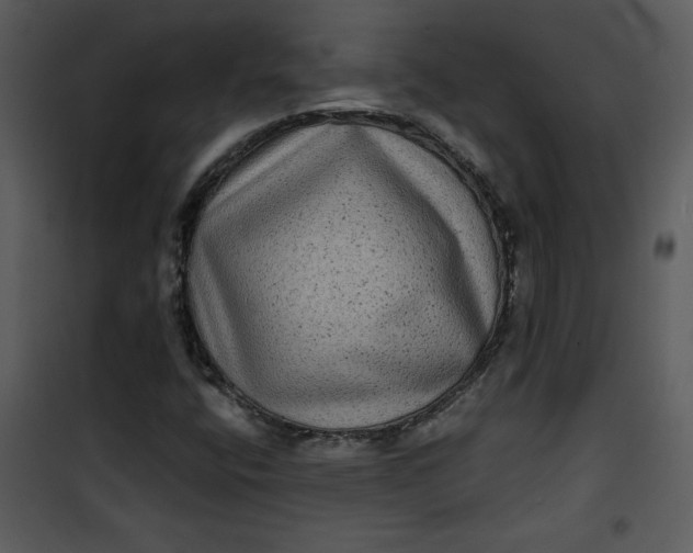 X0000101141400200807181244