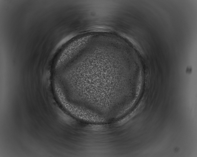 X0000101141402200807181244