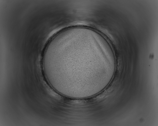 X0000101141404200807181244