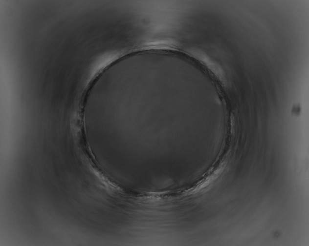 X0000101141405200807181244