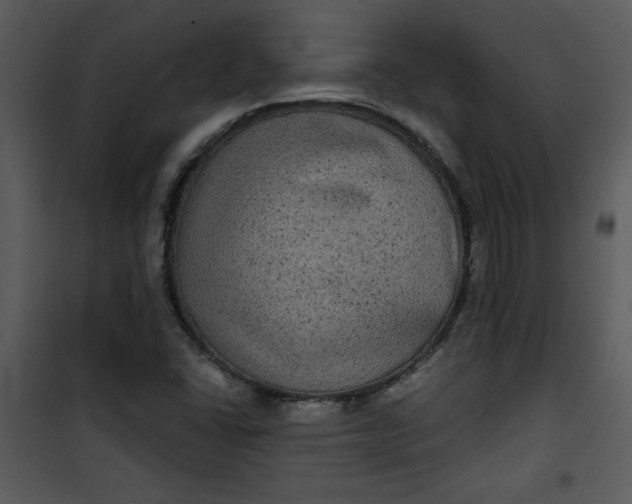 X0000101141406200807181244