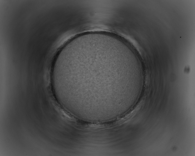 X0000101141407200807181244