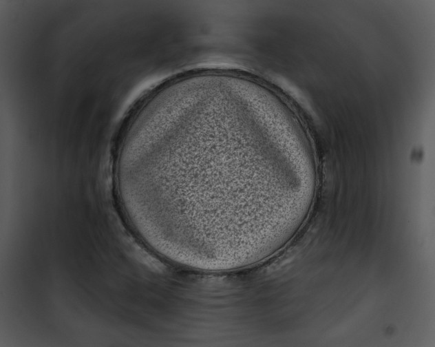 X0000101141408200807181244