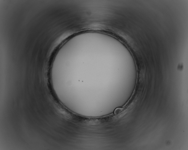 X0000101141410200807181244