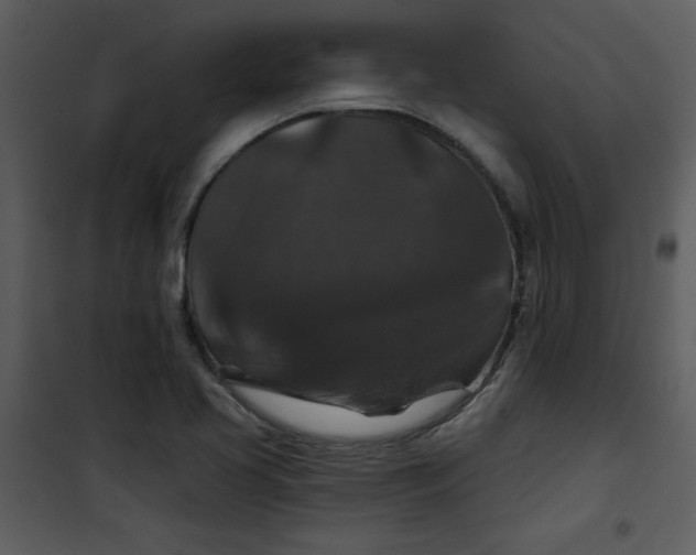 X0000101141413200807181244