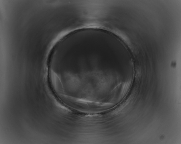 X0000101141414200807181244