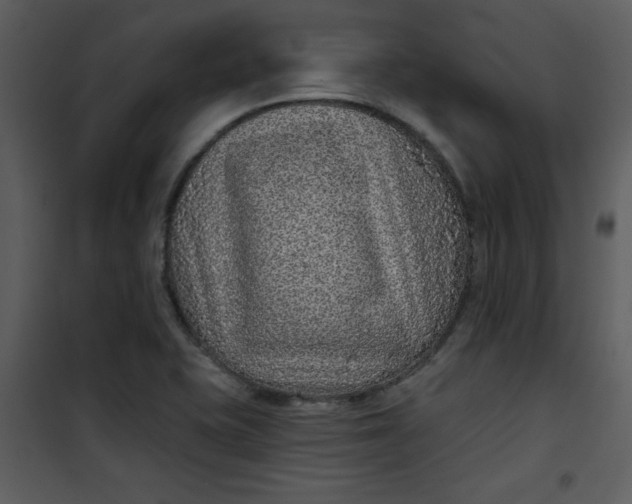 X0000101141415200807181244