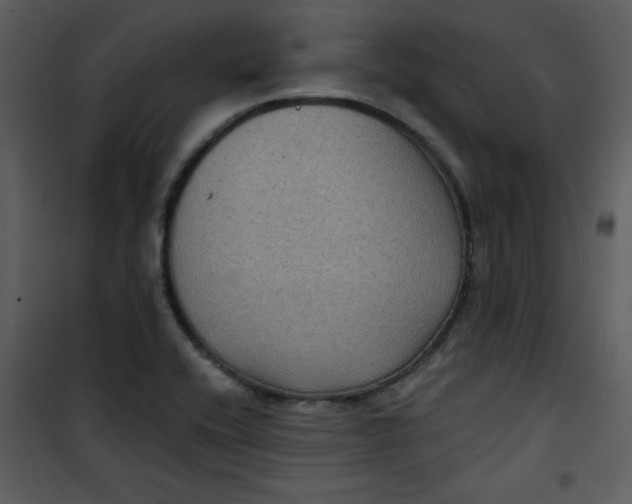 X0000101141416200807181244