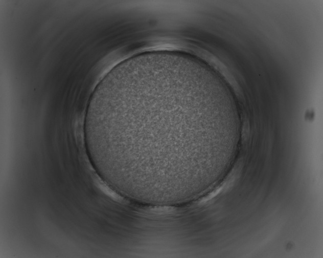 X0000101141417200807181244