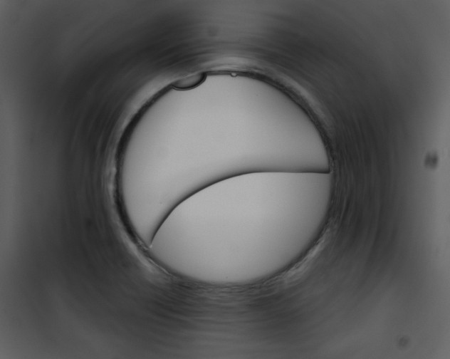 X0000101141418200807181244