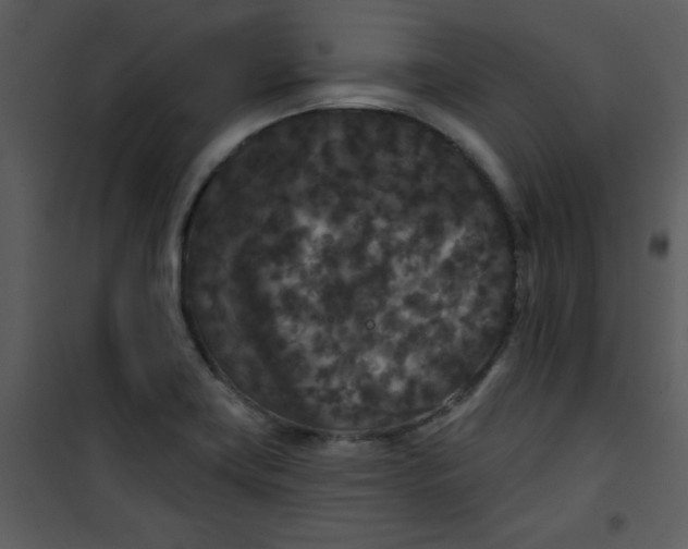 X0000101141419200807181244