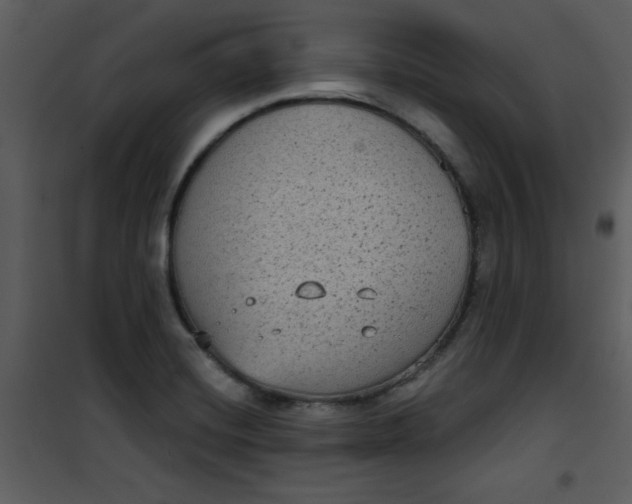 X0000101141420200807181244