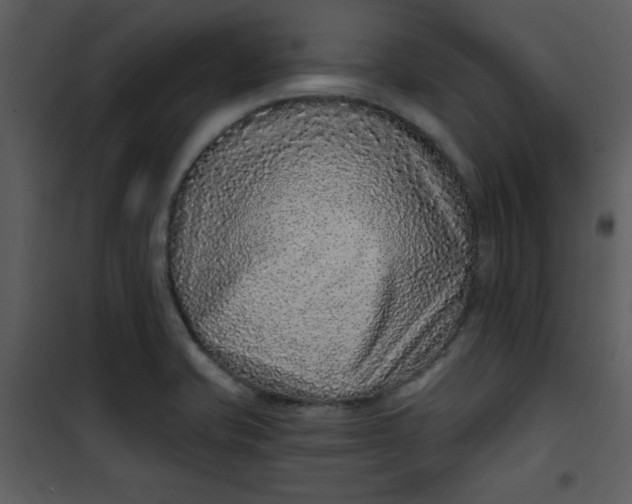 X0000101141421200807181244