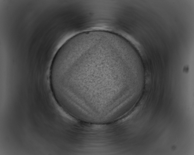 X0000101141423200807181244