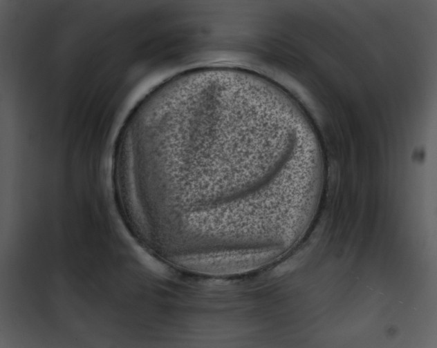 X0000101141424200807181244