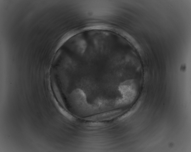 X0000101141425200807181244