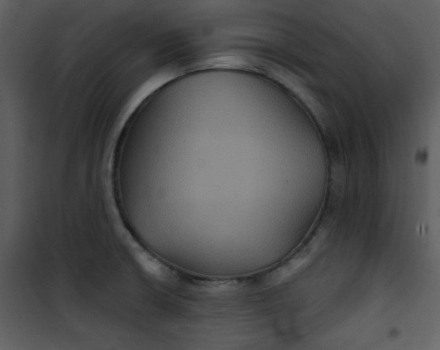 X0000101141426200807181244