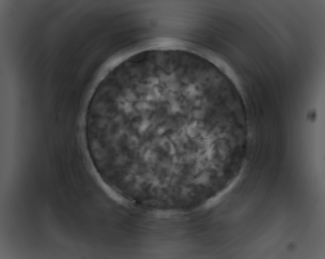 X0000101141429200807181244