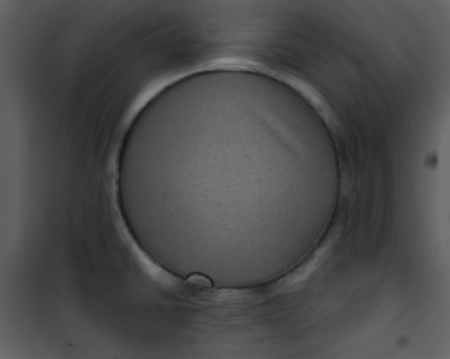 X0000101141430200807181244