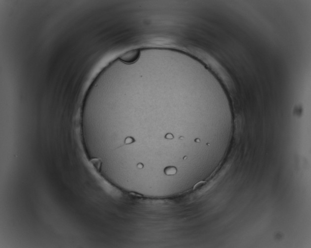 X0000101141432200807181244