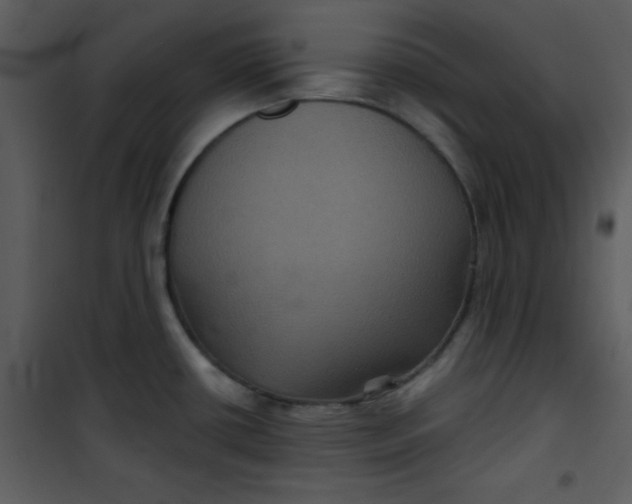 X0000101141434200807181244