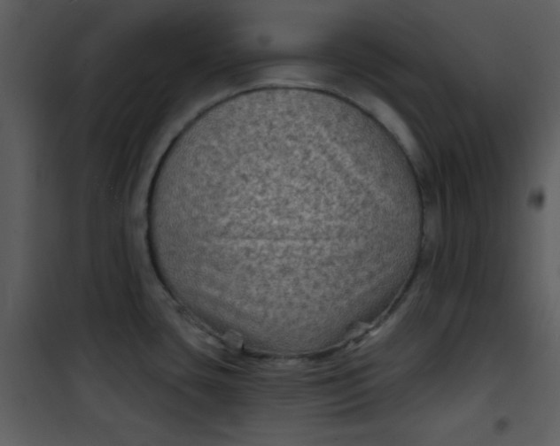 X0000101141435200807181244