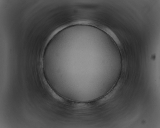 X0000101141436200807181244