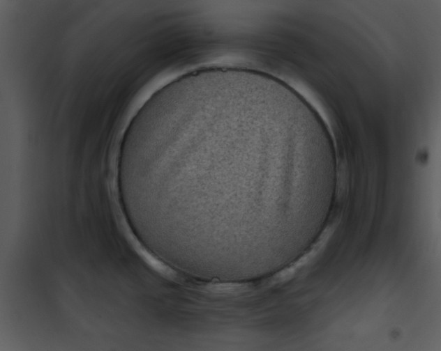 X0000101141437200807181244