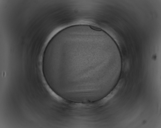 X0000101141438200807181244