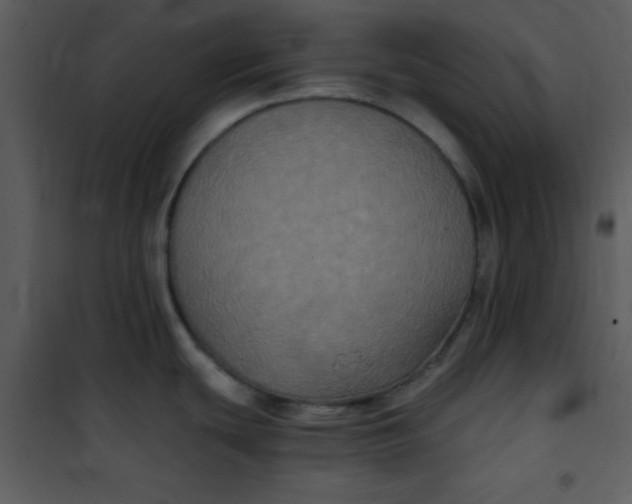 X0000101141439200807181244