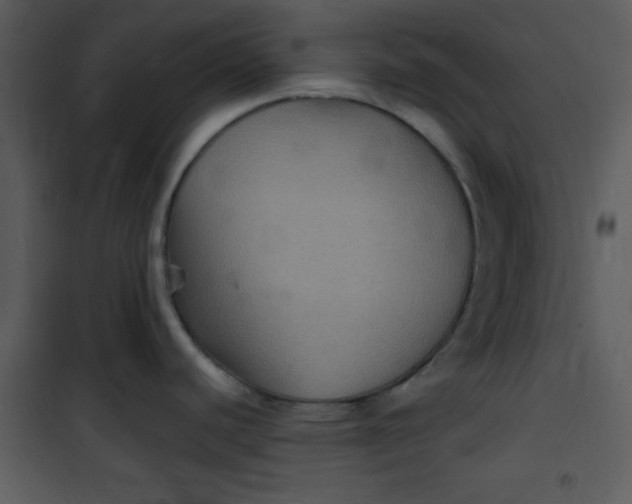 X0000101141440200807181245