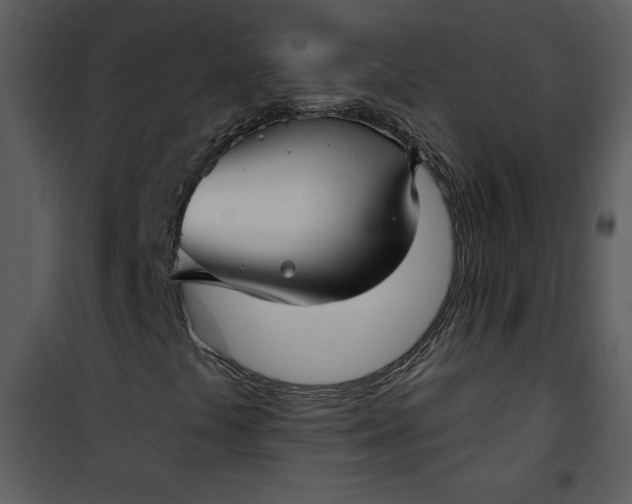 X0000101141441200807181244