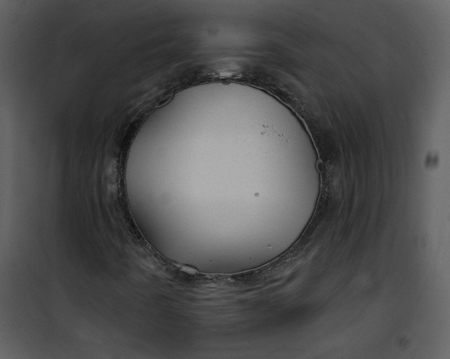 X0000101141442200807181244