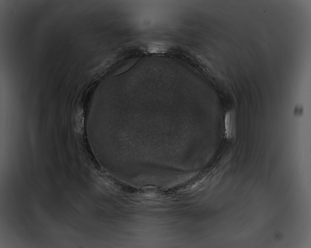 X0000101141443200807181244