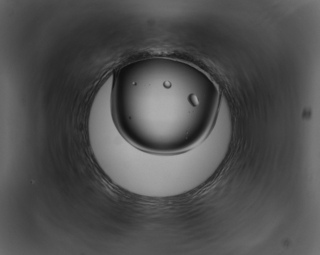 X0000101141444200807181244