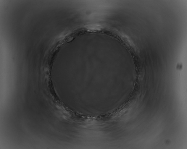 X0000101141445200807181244