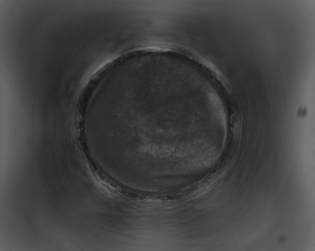 X0000101141448200807181244