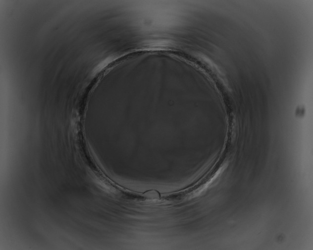 X0000101141449200807181244