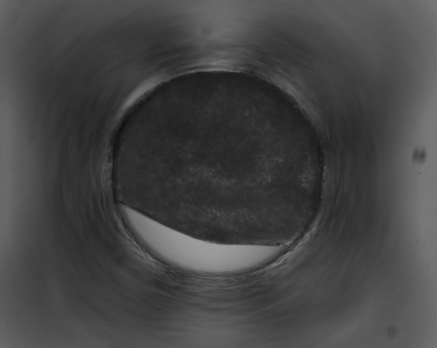 X0000101141450200807181244