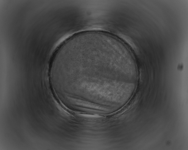 X0000101141452200807181244