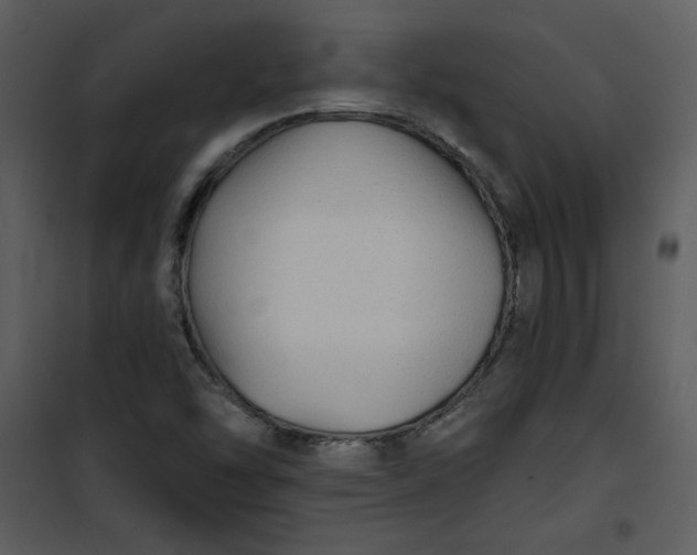 X0000101141454200807181244