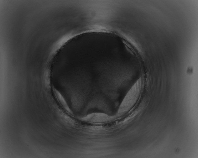 X0000101141455200807181244