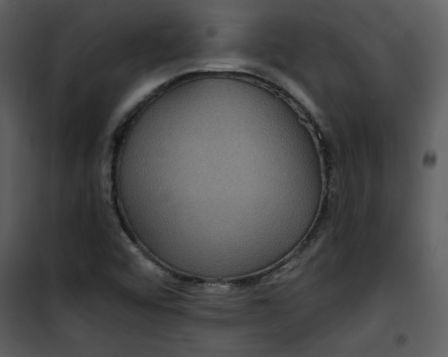 X0000101141456200807181244