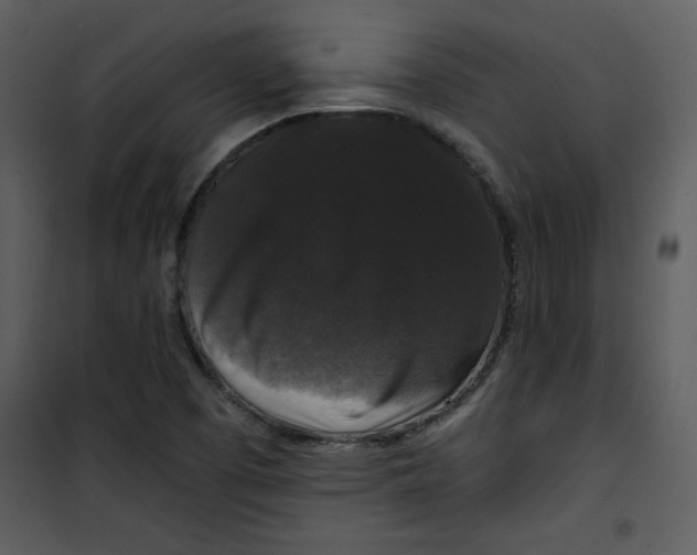 X0000101141457200807181244